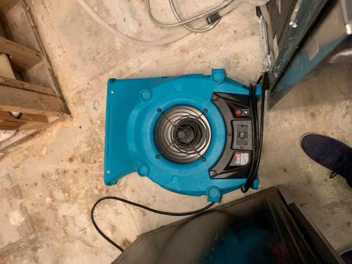 Air mover drying equipment for Mold Remediation & Removal in Elkridge